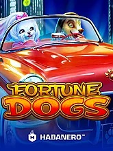 fortune-dogs